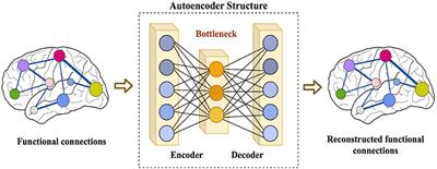 ASD-DiagNet: A Hybrid Learning Approach for Detection of Autism Spectrum Disorder Using fMRI Data